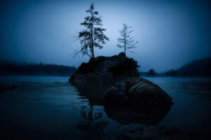 Fine-Art-Print mystische Bauminsel im Morgennebel am Hintersee in Bayern – stimmungsvolles Kunstfoto mit Nebel und blauem Licht, erhältlich als hochwertiger Kunstdruck.