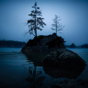 Fine-Art-Print mystische Bauminsel im Morgennebel am Hintersee in Bayern – stimmungsvolles Kunstfoto mit Nebel und blauem Licht, erhältlich als hochwertiger Kunstdruck.
