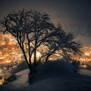 Verschneiter Baum mit Blick auf die Lichter von Wolkenstein bei Nacht – erhältlich als Fine Art Print
