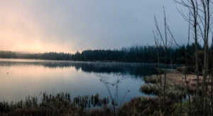 Fine Art Print vom Hintersee im Nebel mit Blesshuhn – hochwertiger Kunstdruck stimmungsvoller Landschaftsfotografie.