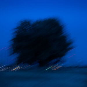 Düsseldorf Oberkassel – unscharfer Baum auf den Rheinwiesen bei Dämmerung, Lichtspuren im Hintergrund, Langzeitbelichtung.