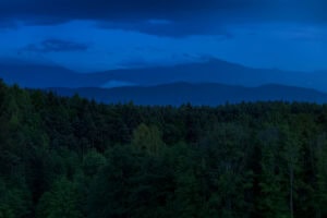 Oberbozen, Südtirol – Wald vor blauen Bergschichten mit Nebelbändern, Blaue Stunde, minimalistische Landschaft.