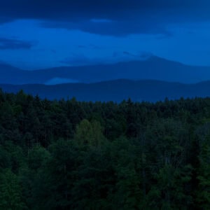 Oberbozen, Südtirol – Wald vor blauen Bergschichten mit Nebelbändern, Blaue Stunde, minimalistische Landschaft.