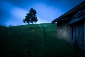 Südtirol – Einzelbaum auf Hügel, Pfad über nasse Wiese, Hütte rechts, Blaue Stunde.