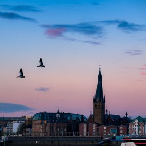Zwei fliegende Vögel über Düsseldorf am Rheinufer bei Sonnenuntergang