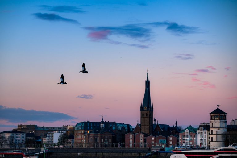 Zwei fliegende Vögel über Düsseldorf am Rheinufer bei Sonnenuntergang