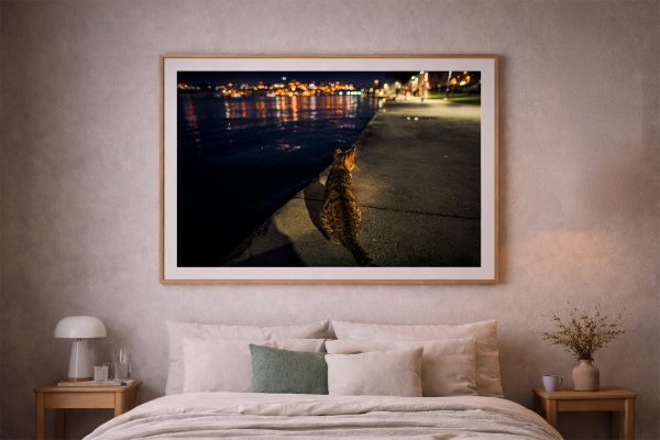 Fotografie einer Katze auf nächtlicher Uferpromenade mit Lichtern im Hintergrund, gerahmt über einem Bett im gemütlichen Schlafzimmer