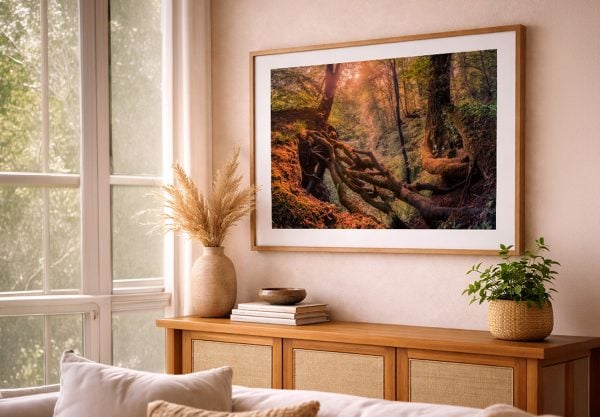 Gerahmtes Waldmotiv mit verwachsenen Wurzeln im Abendlicht über einer Holzkommode in einem hellen Wohnzimmer