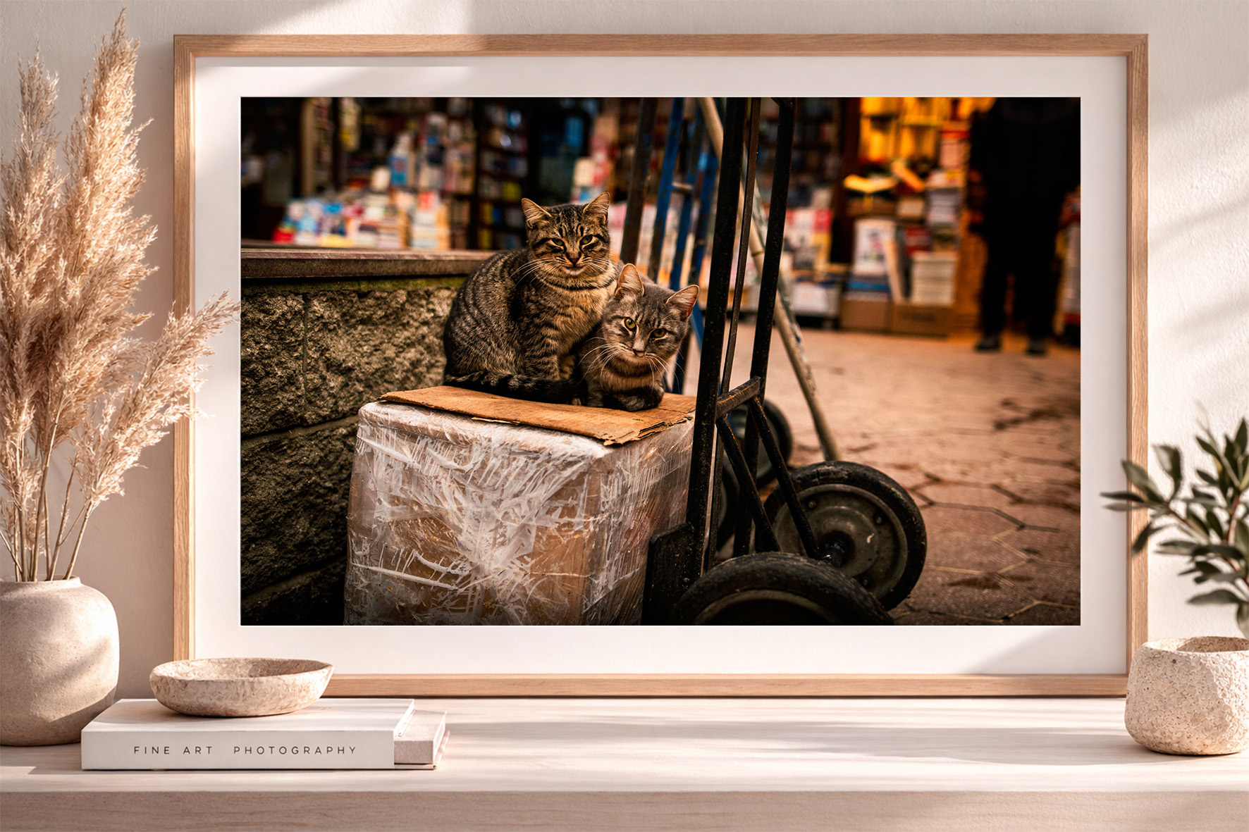 Fotografie von zwei getigerten Katzen auf Karton vor einem Laden, gerahmt auf Sideboard mit Vasen und Büchern im modernen Interior