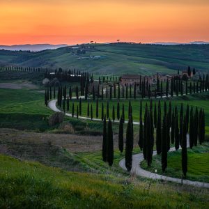 Geschwungene Zypressenallee in der Val d’Orcia bei Baccoleno vor sanften grünen Hügeln im Sonnenuntergang